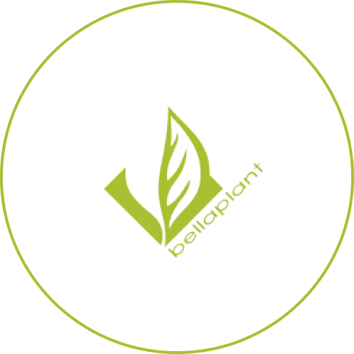 Bellaplant AG