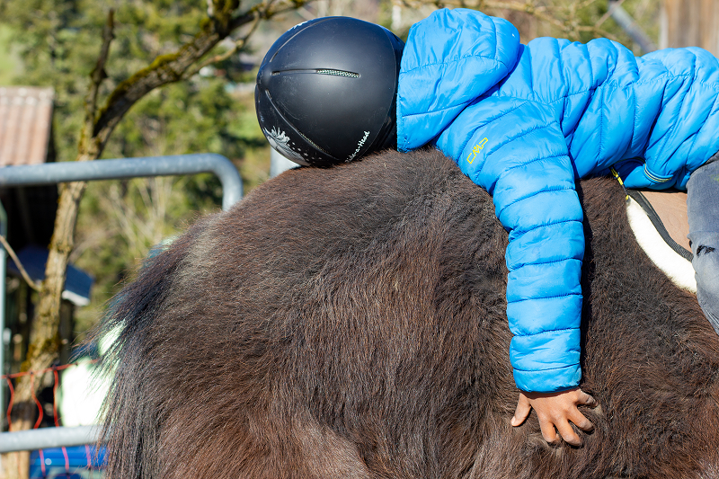 Fachperson Betreuung Kind, Sozialpädagogik oder Kindheitspädagogik 