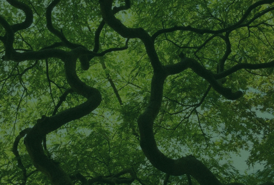 GREEN Gartenunternehmen als Arbeitgeber